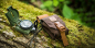 Preview: Helikon-Tex - Compass Survival Pouch - Coyote