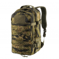 Preview: Helikon-Tex - Raccoon Mk. 2 Backpack - Tiger Stripe