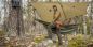 Preview: Helikon-Tex Supertarp - SMALL - US Woodland