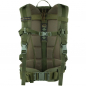 Preview: Wisport - Zipper Fox 25 Liter Backpack - Olive Green